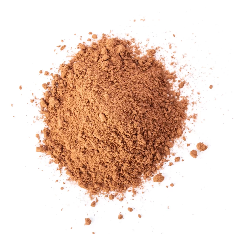 raw-cacao-powder-auster-foods