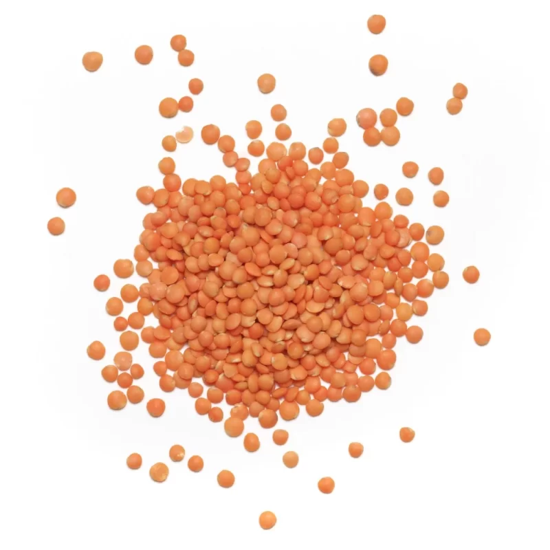 red-split-lentils-auster-foods